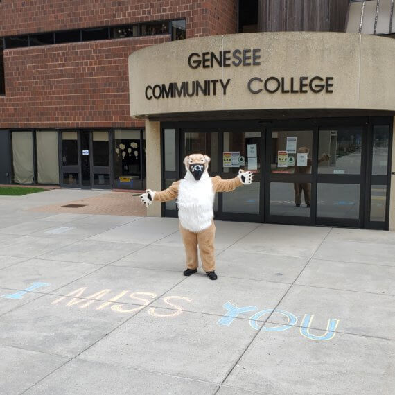 GCC Cougar with a mask